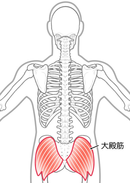 使用する筋肉