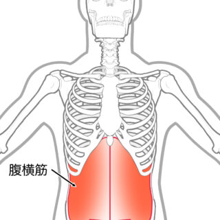  使用する筋肉