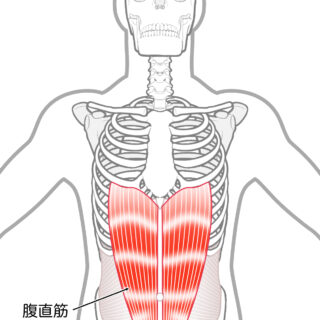 使用する筋肉