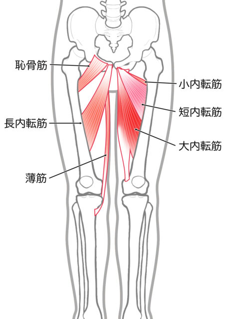 使用する筋肉