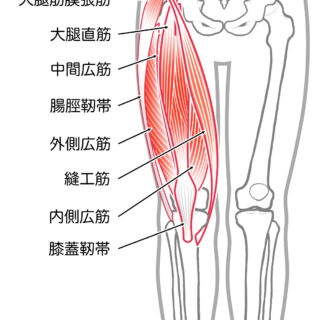 使用する筋肉