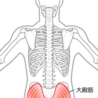 使用する筋肉