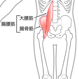 使用する筋肉