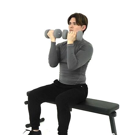 【動画あり】アーノルドプレスの正しいやり方と効果｜肩全体を均等に鍛える回旋プレス