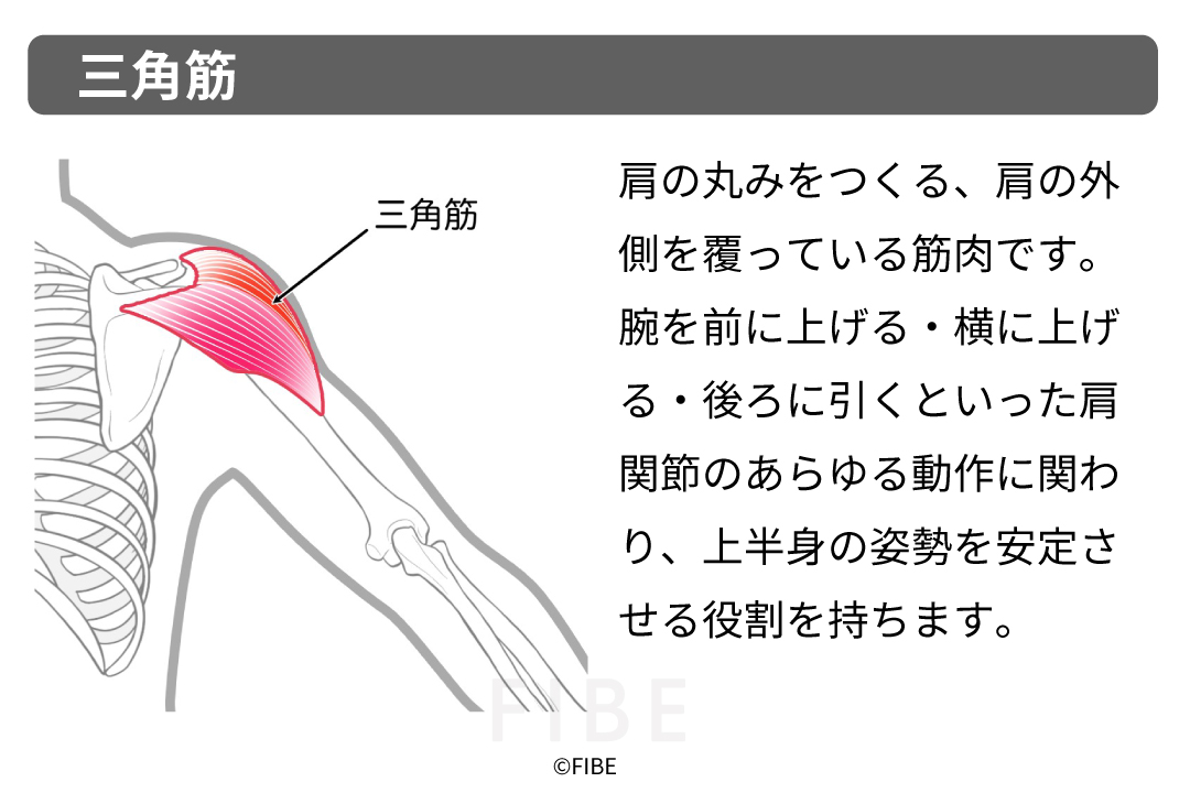 正しいやり方(フォーム手順