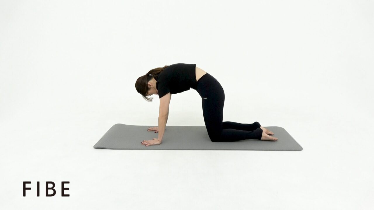 キャットアンドカウ - FIBE