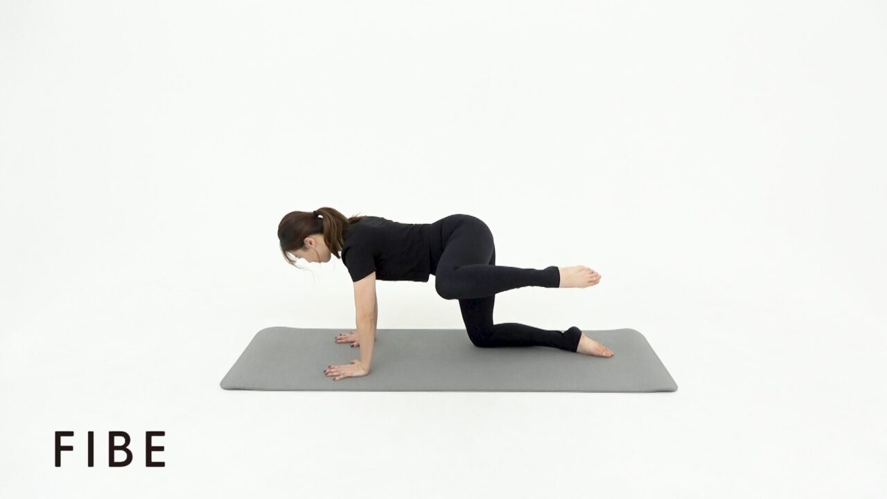 ドギーレッグラウンド - FIBE