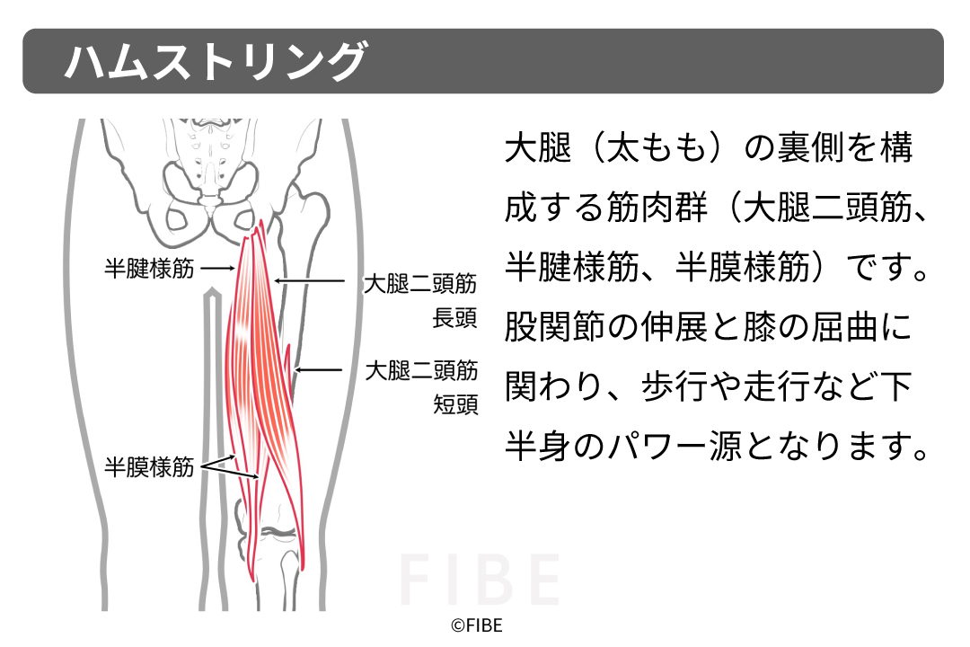 正しいやり方（フォーム手順）