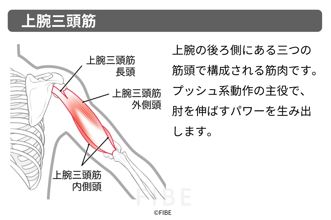正しいやり方(フォーム手順)