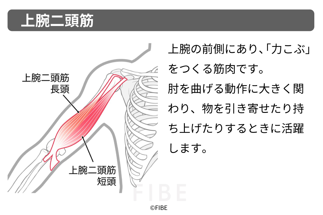 正しいやり方（フォーム手順）