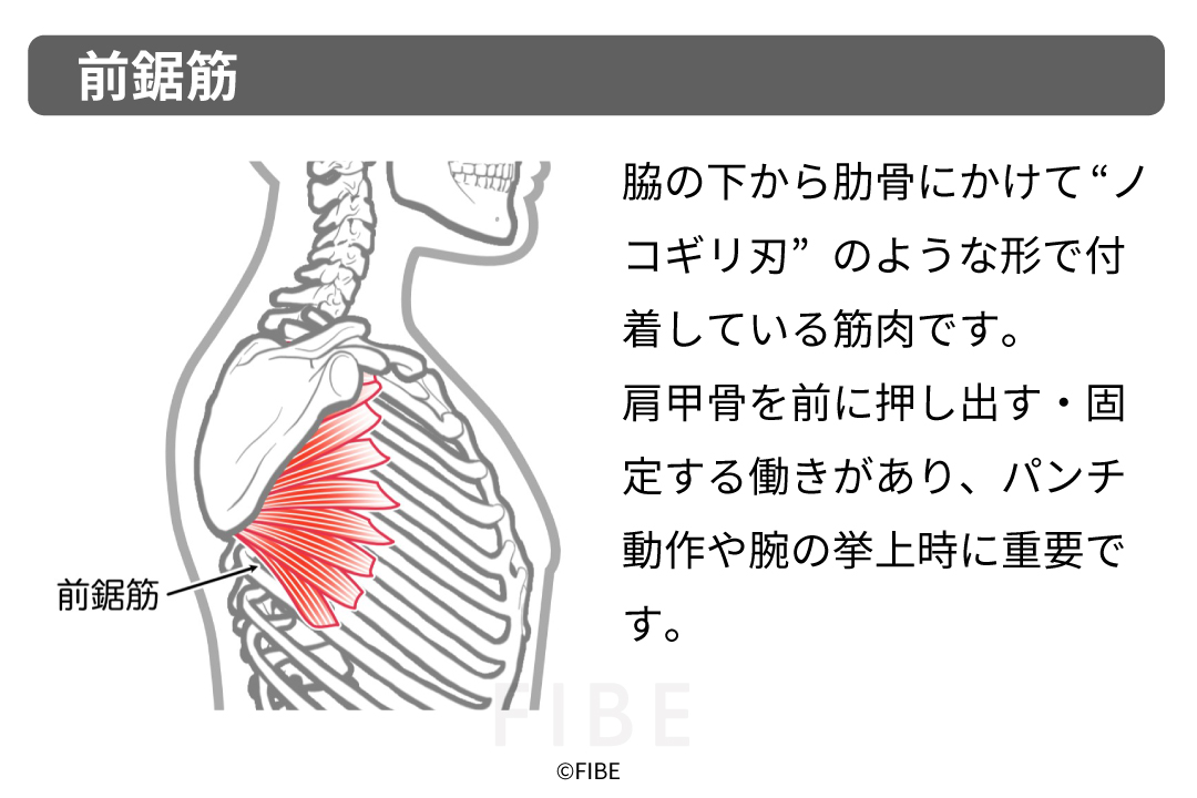 正しいやり方（フォーム手順）