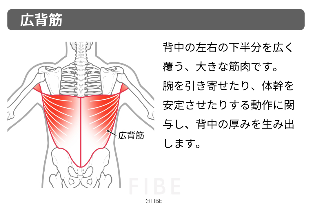正しいやり方(フォーム手順)