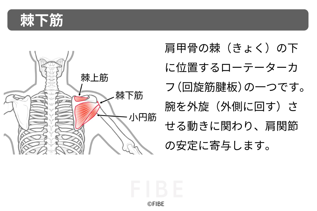 正しいやり方(フォーム手順)