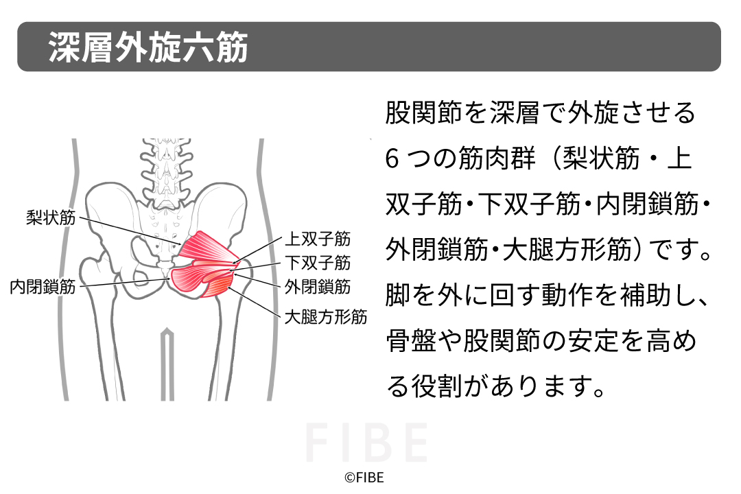 正しいやり方（フォーム手順）