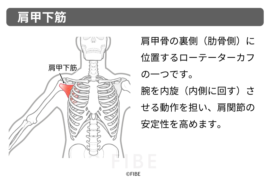 正しいやり方（フォーム手順）