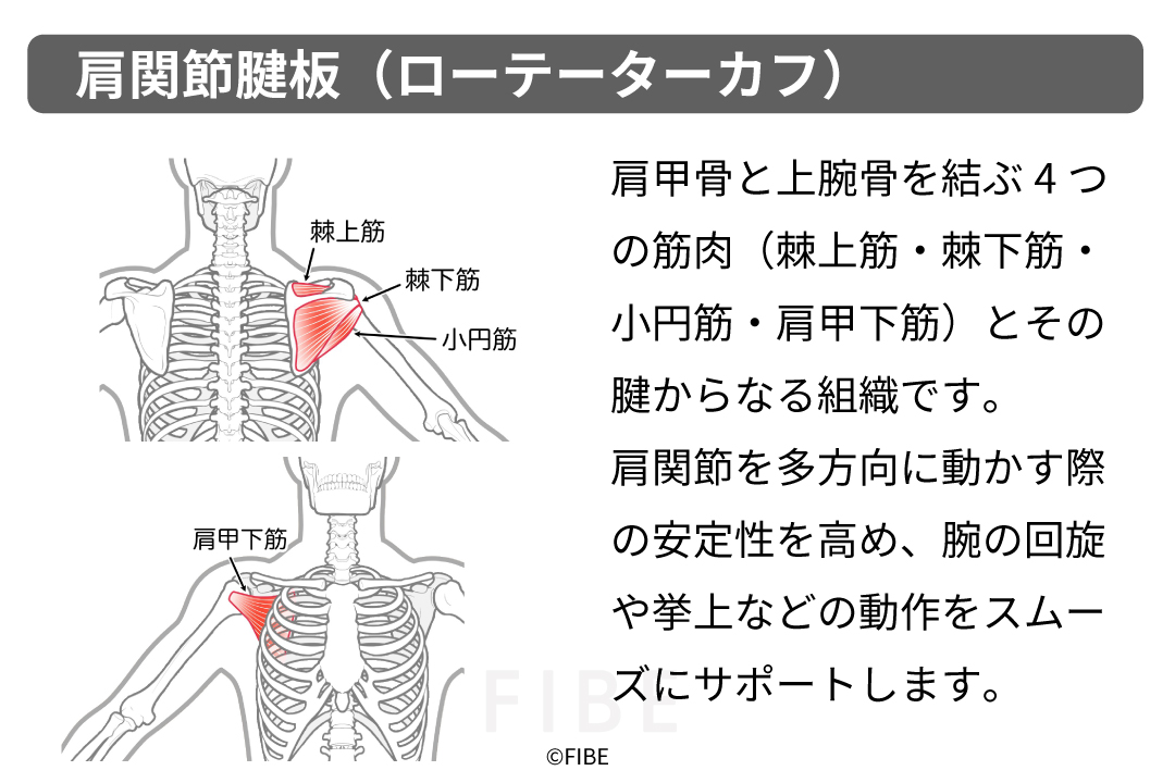 正しいやり方（フォーム手順）