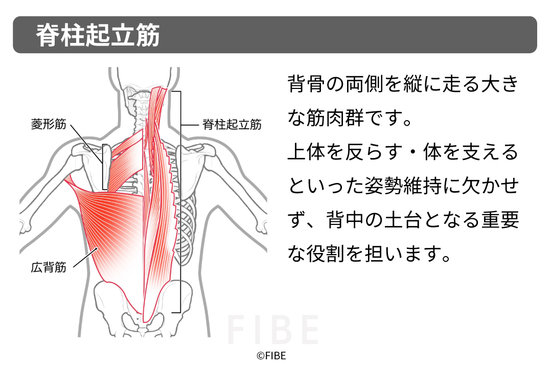 正しいやり方（フォーム手順）