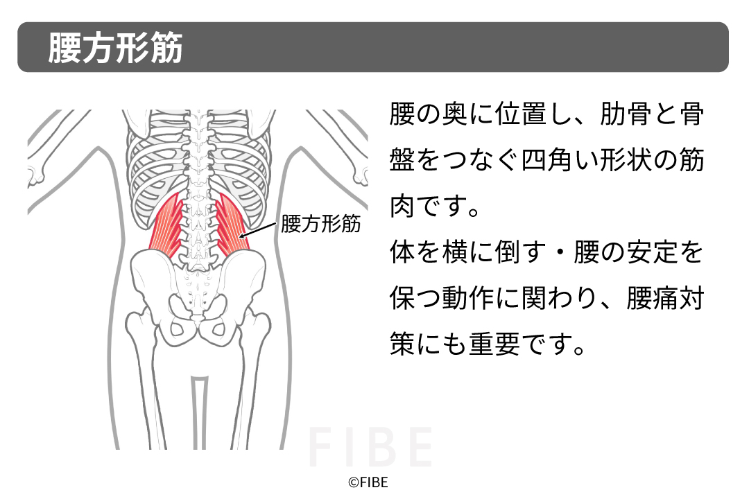 正しいやり方(フォーム手順)