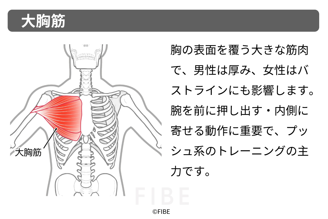 正しいやり方（フォーム手順）