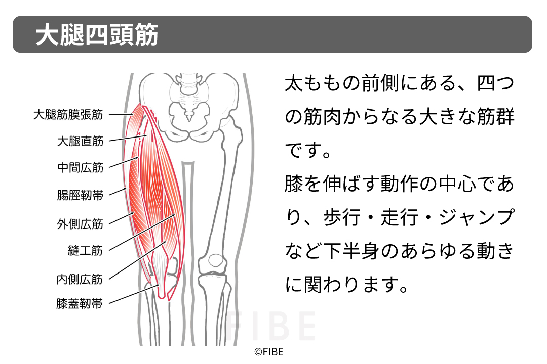正しいやり方（フォーム手順）