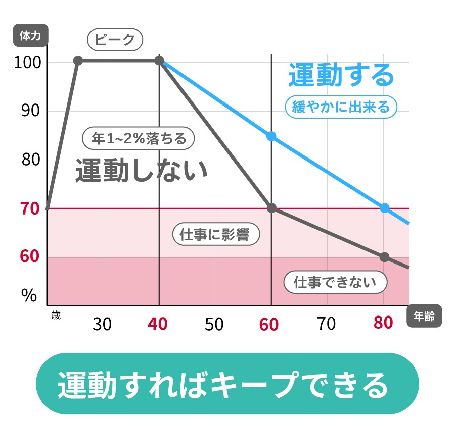体力は4つの要素で成り立つ。土台は筋力